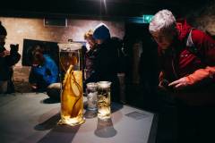 david.stegenga.2025.11.23-golazo-urban.walk_.leiden-1820_lowres